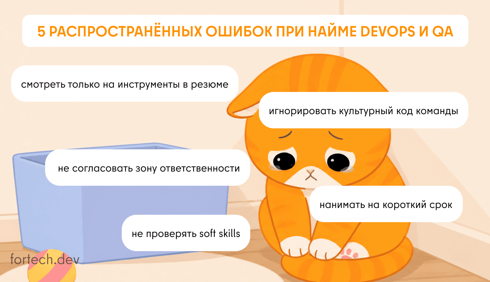 25864676.png